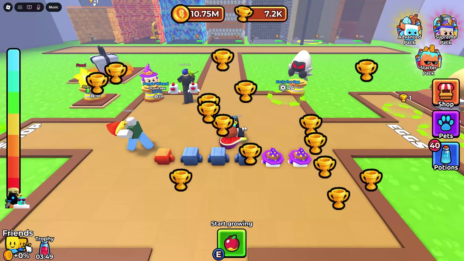 Daily Boosts & Exotic Delights